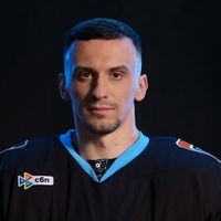 Вячеслав Грецкий