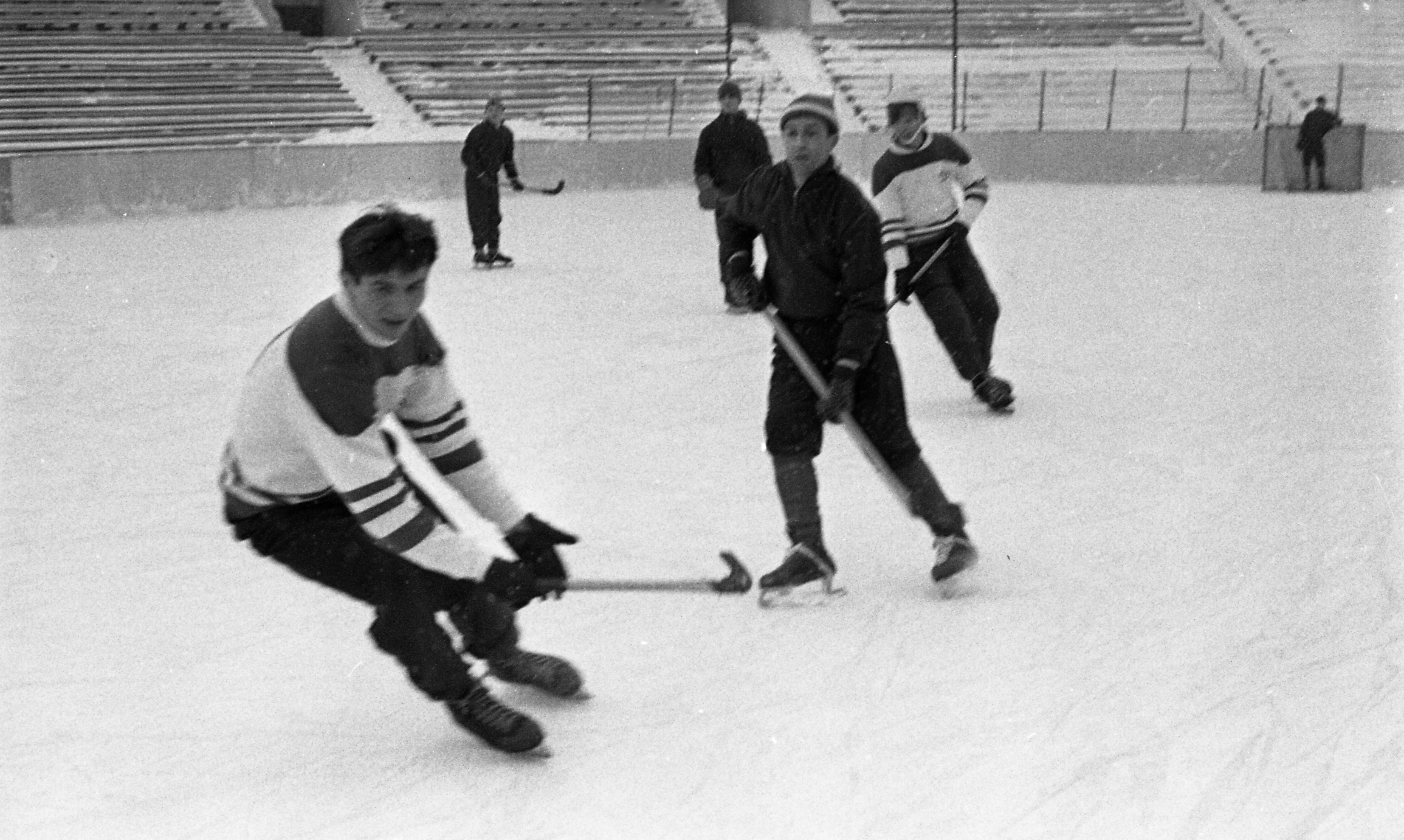 Тренировка на стадионе Динамо.jpg